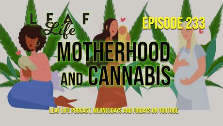 Show #233 – Motherhood and Cannabis