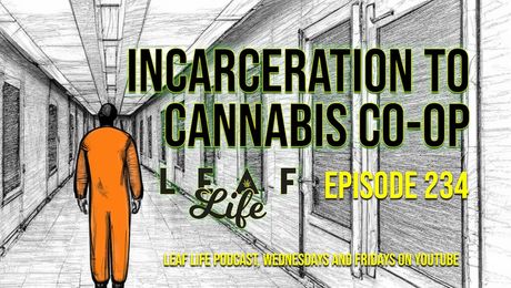 Show #234 – Incarceration to Cannabis Co-Op
