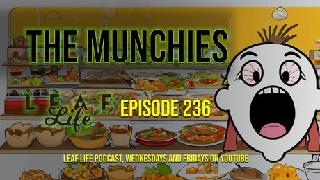 Show #236 – The Munchies