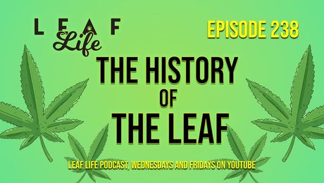 Show #238 – The History of The Leaf