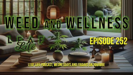 Show #252 – Weed and Wellness