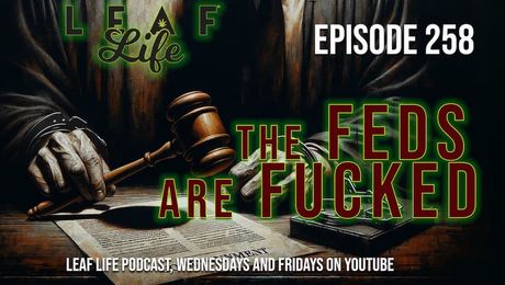 Show #258 – The Feds Are Fucked