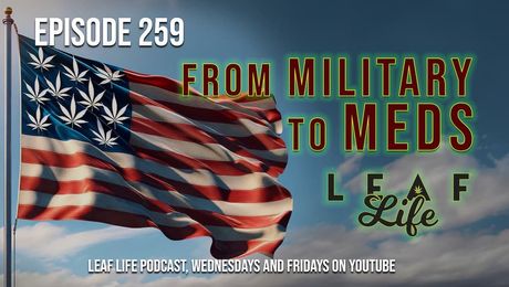 Show #259 – From Military to Meds