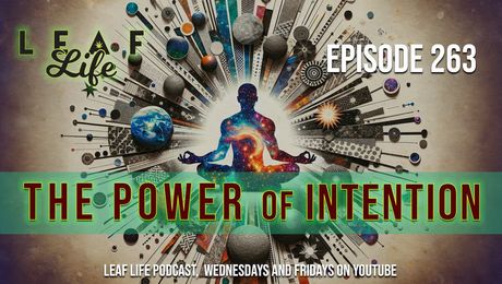 Show #263 – The Power of Intention