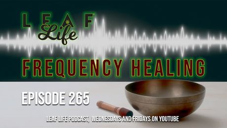 Show #265 – Frequency Healing
