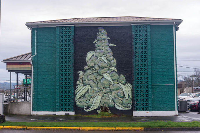 Shop Review: The Freedom Market