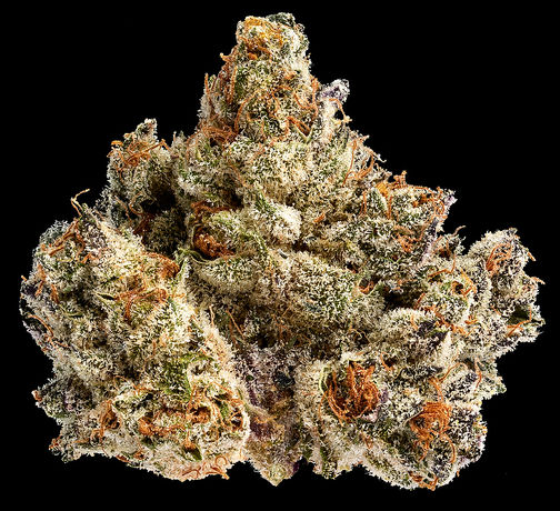 California Leaf 2026 Flower Roundup