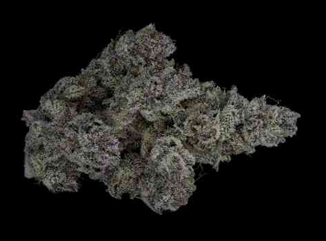 Northeast Leaf 2025 Flower Roundup