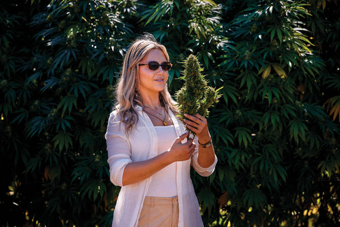 Halle Pennington Catalogs What’s Next in Cannabis