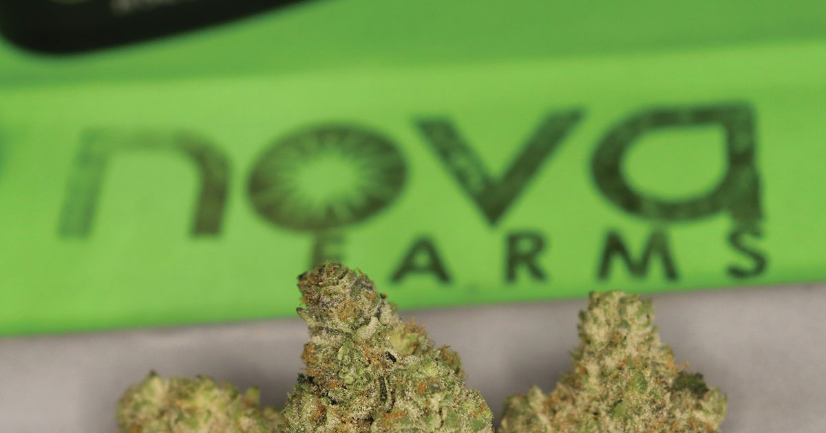 Garlic Mints Leaf Nation