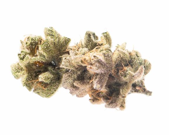 Northwest Leaf 2026 Flower Roundup