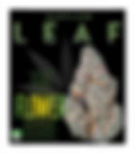 Maryland Leaf