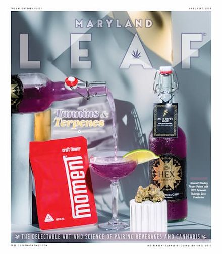 Maryland Leaf