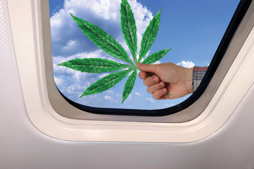 Cannabis Travel Do’s And Don'ts - Leaf Nation