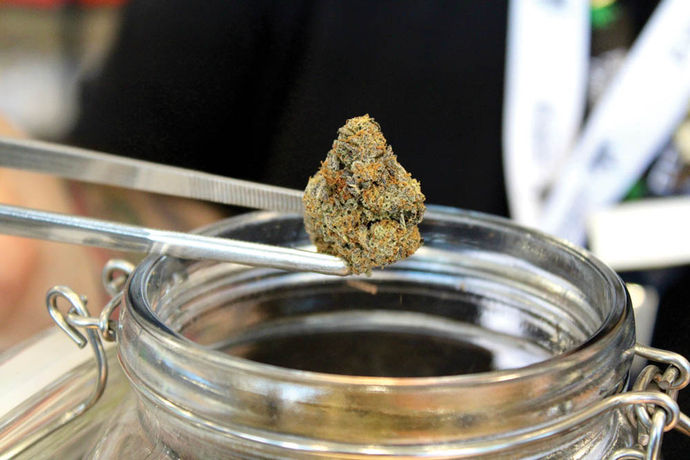 Shop Review: Oregon Bud Company