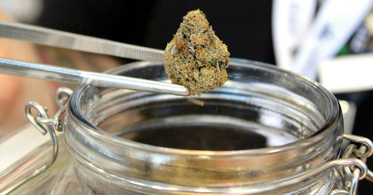 photo of Shop Review: Oregon Bud Company image