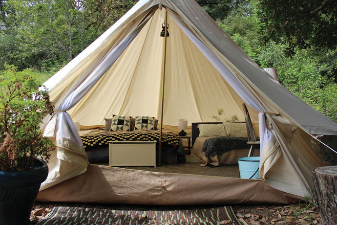 Camping with Cannabis