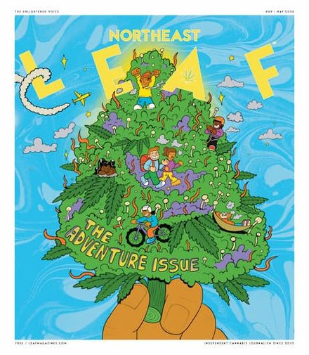 Northeast Leaf