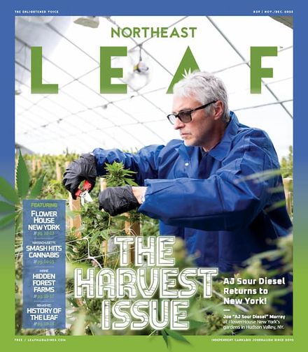 Northeast Leaf - Leaf Nation