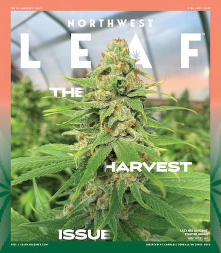 Northwest Leaf