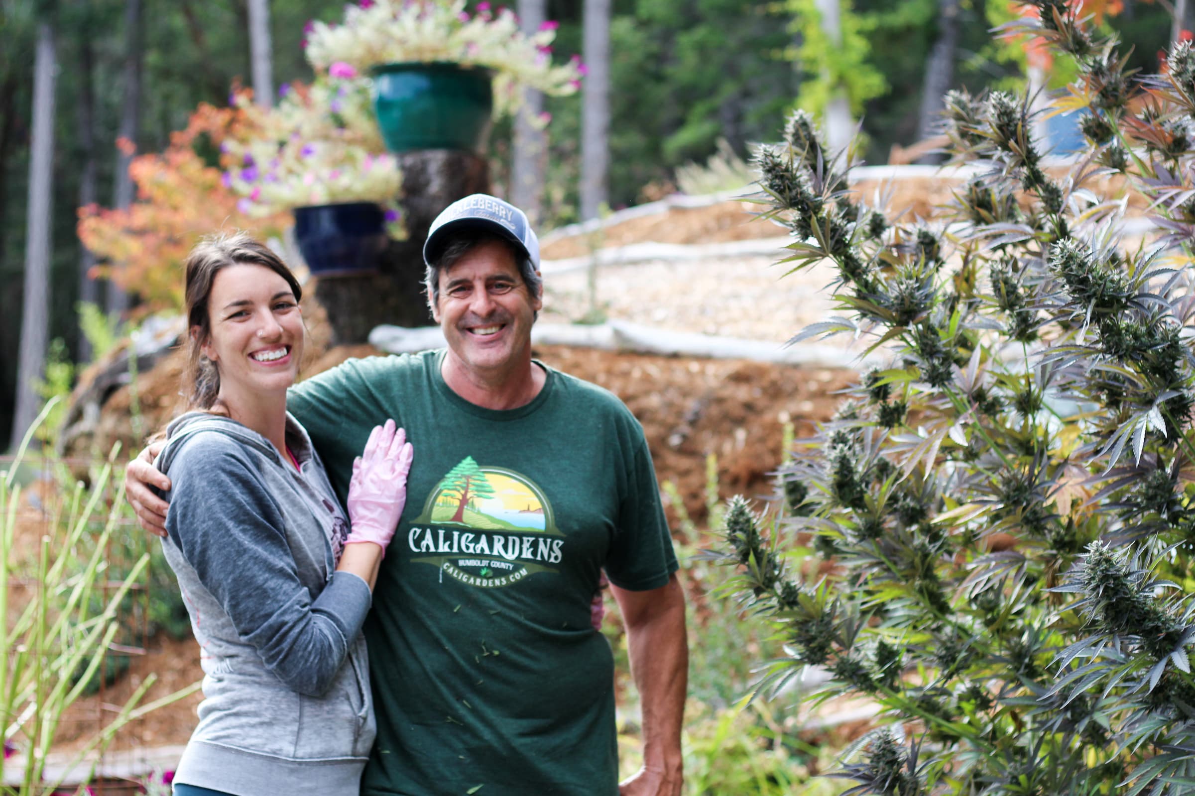 Harvesting For Hash with Huckleberry Hill Farms and Heritage