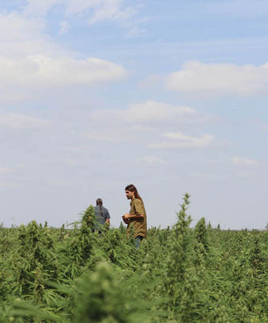 Fresh Off the Farm: Crockett Family Farms