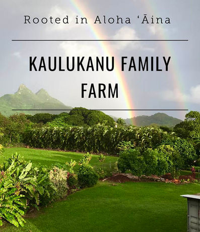 Harvest Blessings: A Makahiki State of Mind