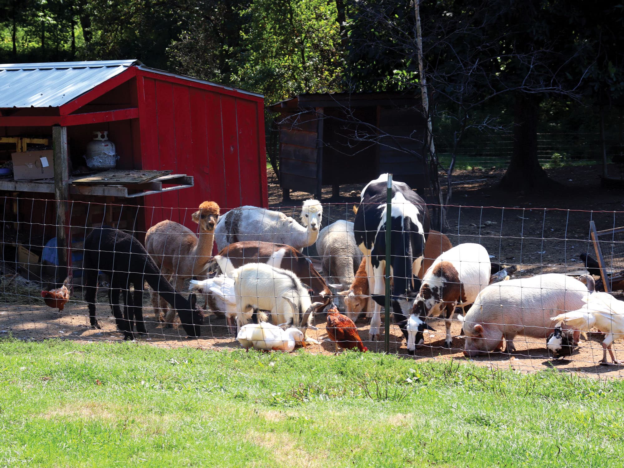 Massachusetts' Dream Catcher Farm Leaf Nation