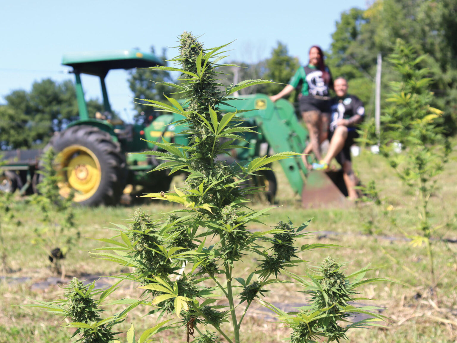 Massachusetts' Dream Catcher Farm Leaf Nation