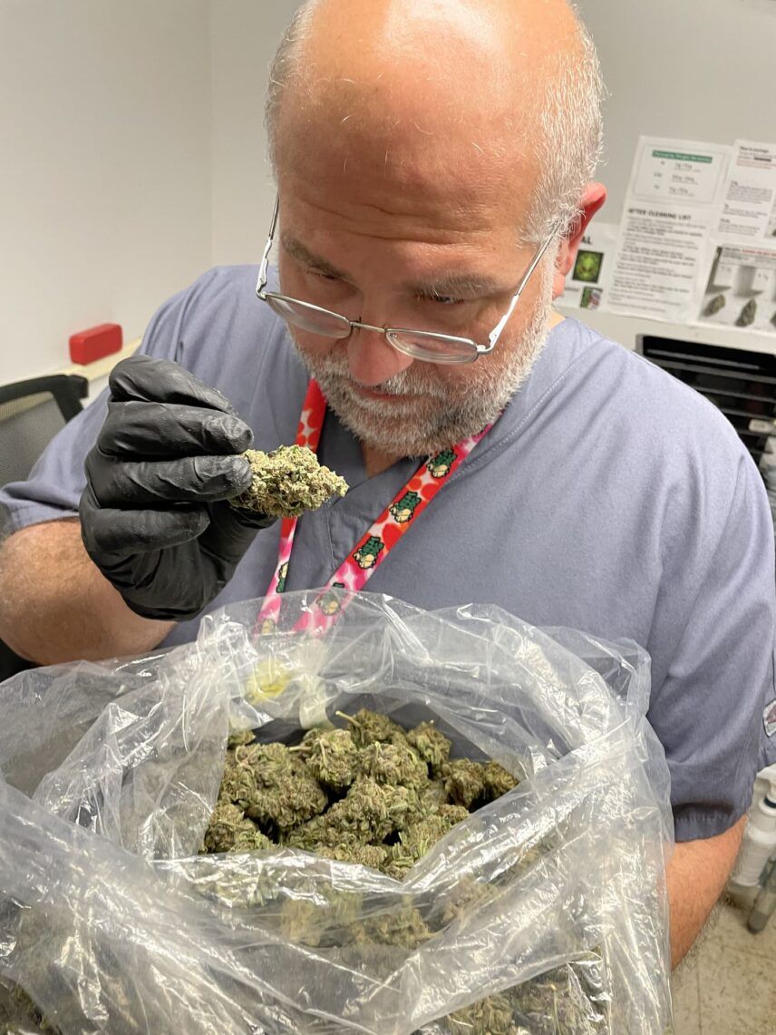 Chemdog Clones Drop at CannaProvisions - Leaf Nation