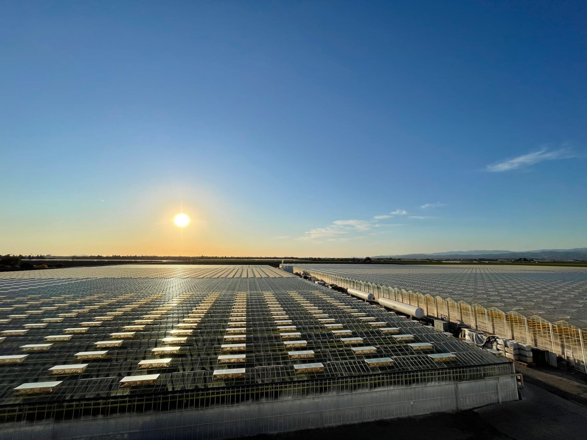 Will Glass House Farms the World's Largest Cannabis Grow? Leaf