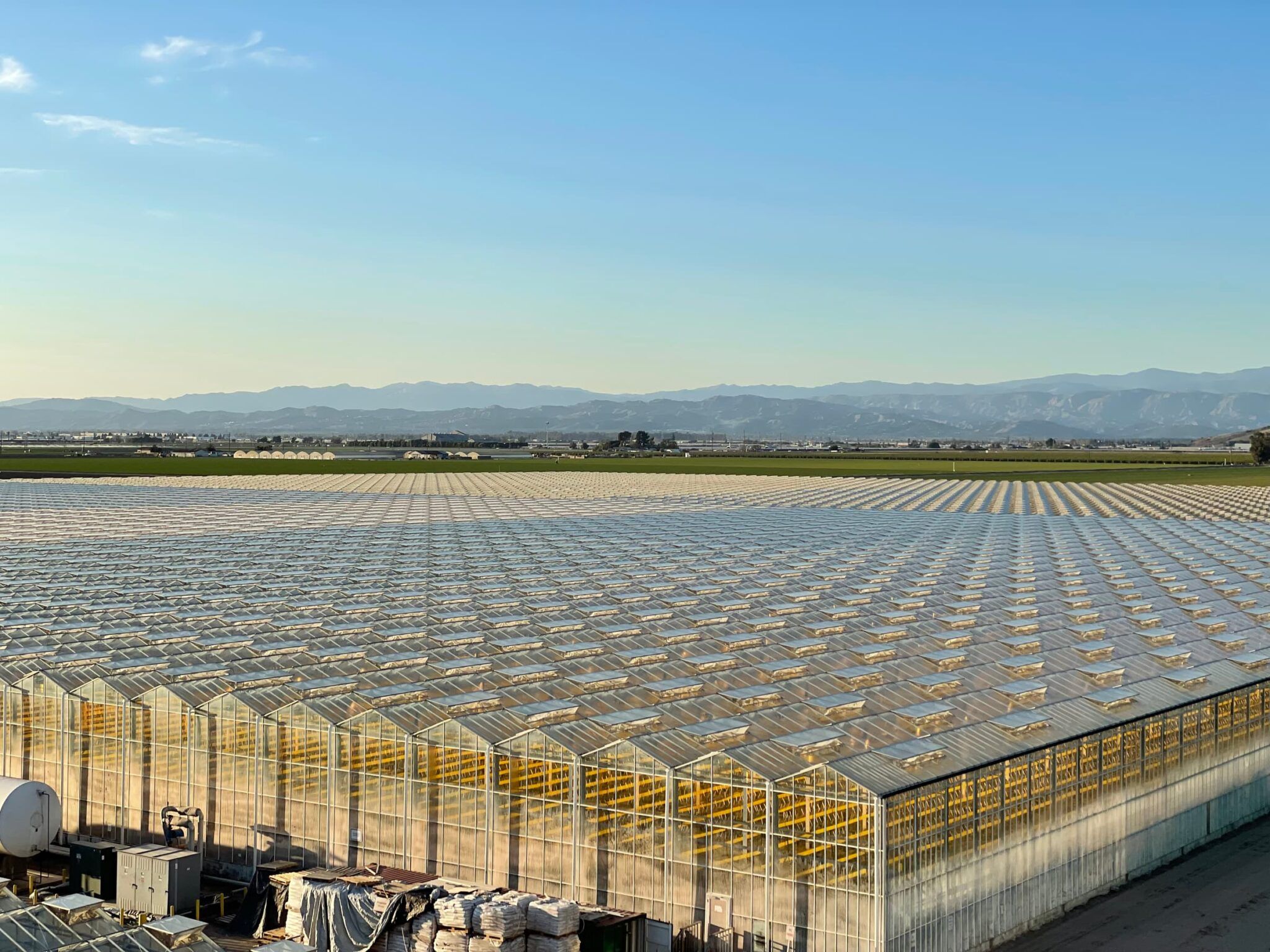 Will Glass House Farms the World's Largest Cannabis Grow? Leaf