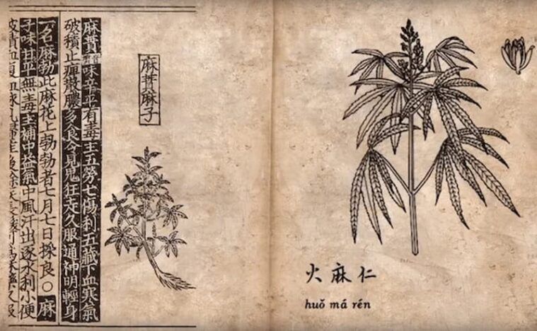 Ancient Chinese Hemp Clothing