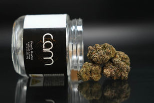 CAM’s Permanent Marker