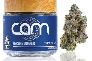 Hashburger