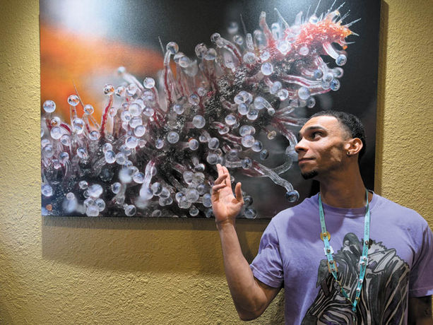 Budtender of the Month: Jacob Harris