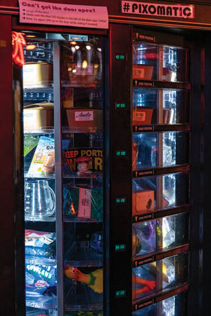 High Eats: Pix Pâtisserie/Pix-O-Matic and Noble Farms