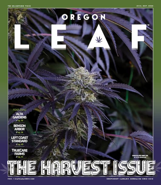 July 2022 - Northeast Leaf by Northwest Leaf / Oregon Leaf / Alaska Leaf /  Maryland Leaf / California Leaf / Northeast Leaf - Issuu