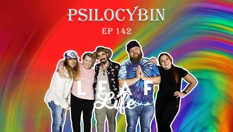 Show #142 – Psilocybin