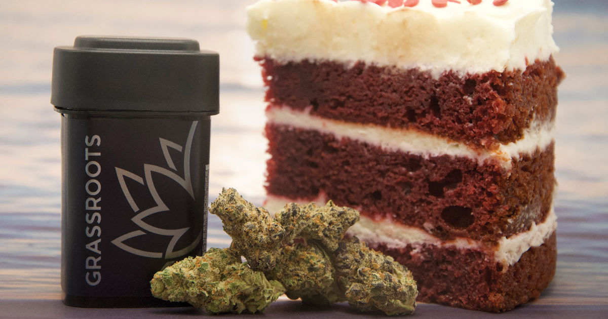 Sunset Shortcake Leaf Nation