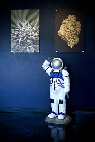 A Galaxy of Ganja at Astral Market