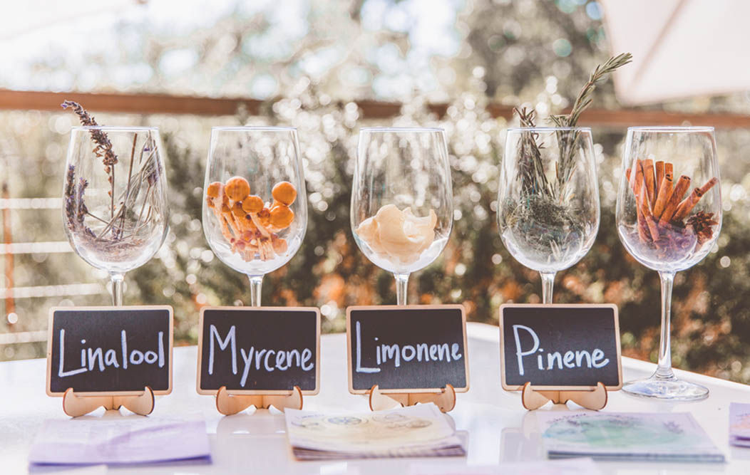 Cannabis Takes Flight: Pairing Terpenes and Tannins