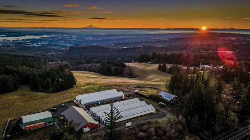 Grow Tour: Bald Peak Farm