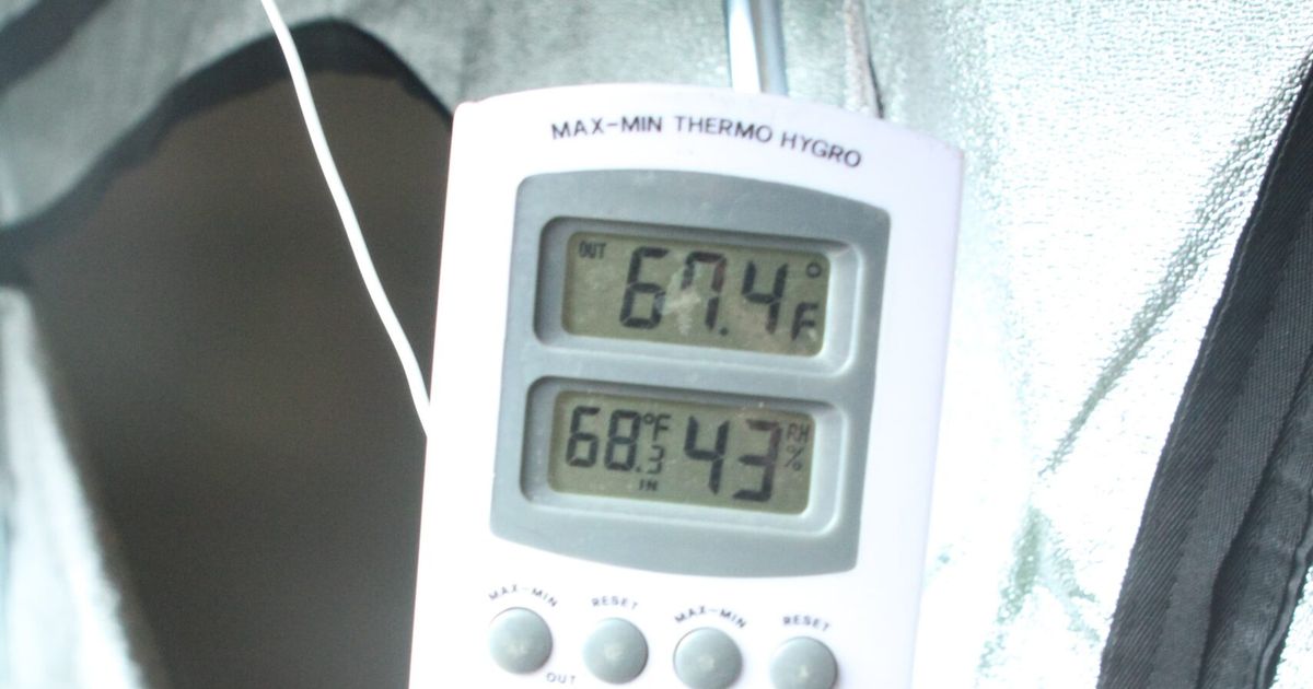 The Best Temperature and Humidity For Growing Weed Leaf Nation