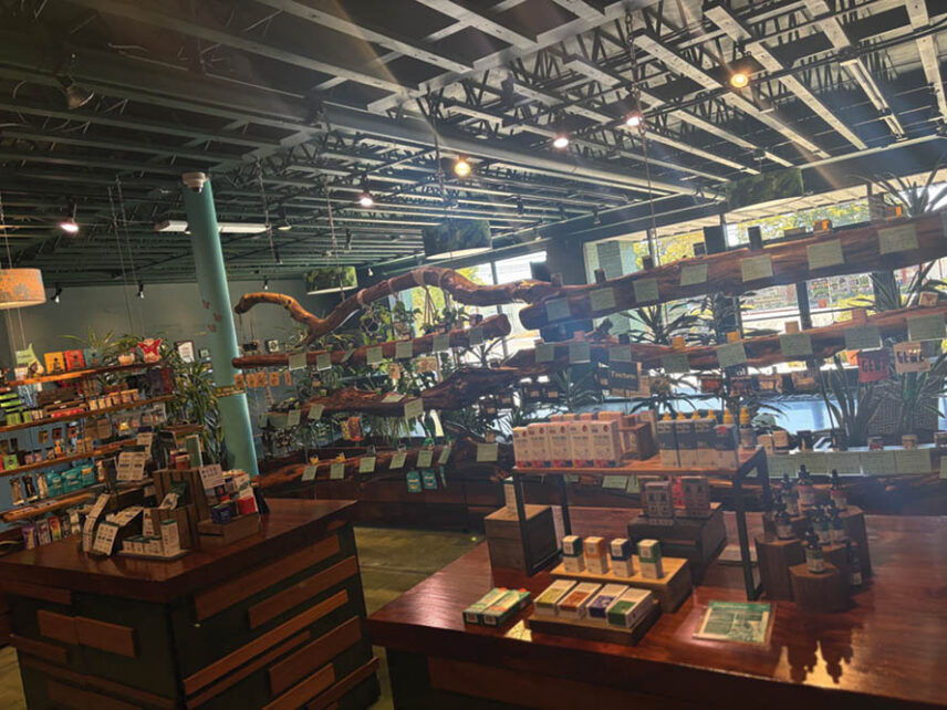 Treehouse Stuff Store Shop Review: Treehouse - Leaf Nation
