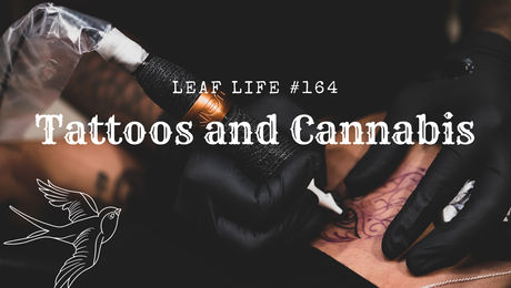 Show #164 – Tattoos and Cannabis