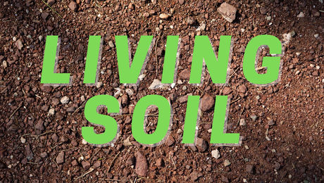 Show #162 – Living Soil