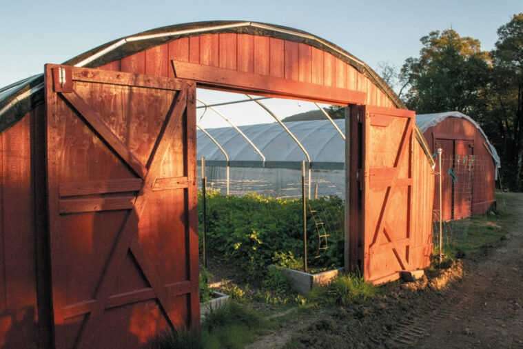 Redwood Roots represents Lady Sativa Farms along with a lengthy list of legacy Humboldt County farmers in and around the Garberville area.