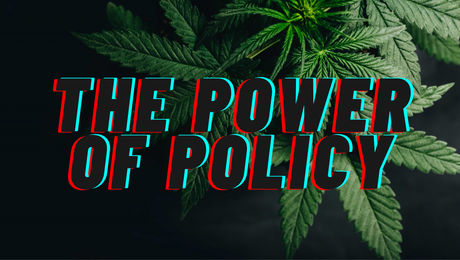 Show #161 – The Power of Policy