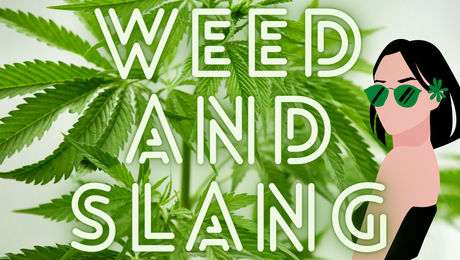 Show #147 – Weed and Slang